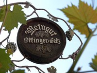 Domaine viticole Ollinger Gelz